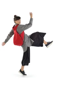 InZu Bug Pack Backpack Black Hive Bags